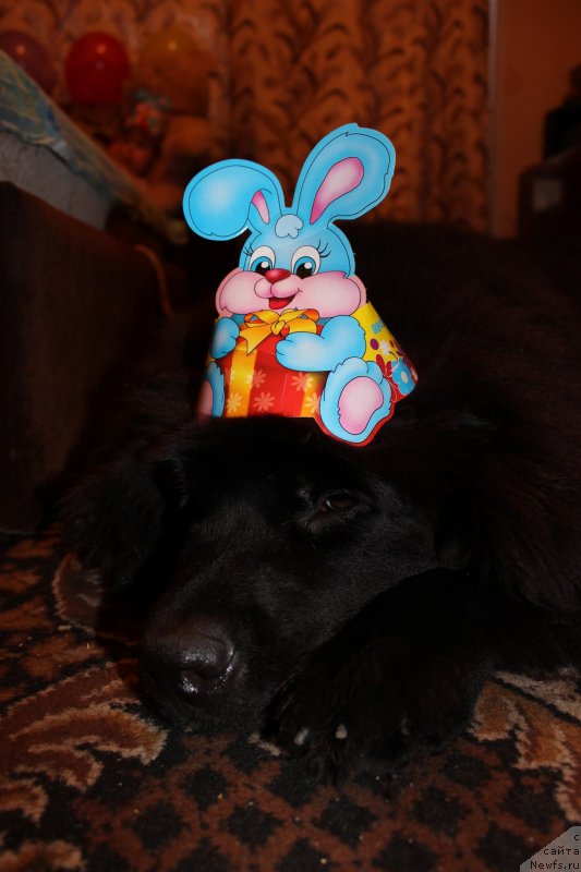 Фотография № 134093