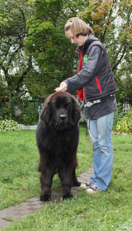 Фотография № 134096