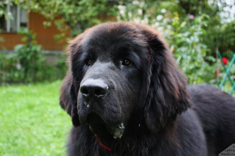 Фотография № 134098