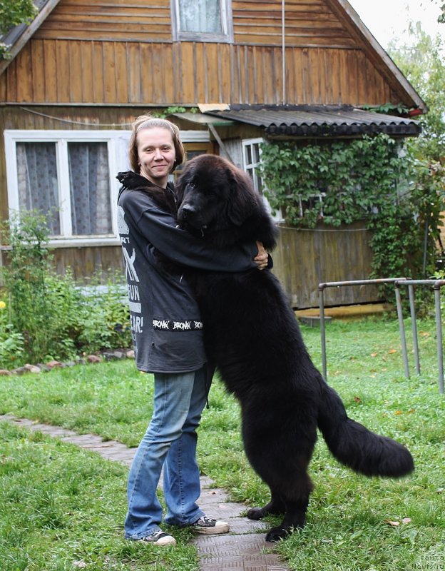 Фотография № 134101