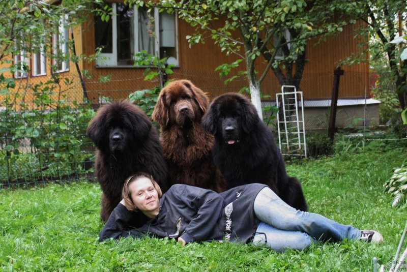 Фотография № 134105