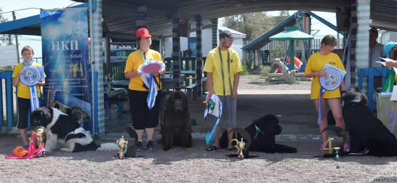 Фотография № 134147