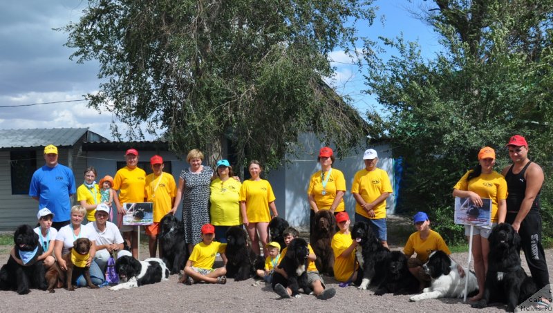 Фотография № 134149