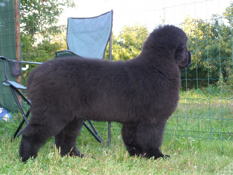 Фотография № 134167