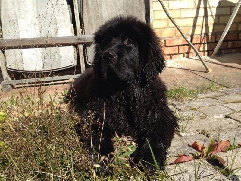 Фотография № 134193