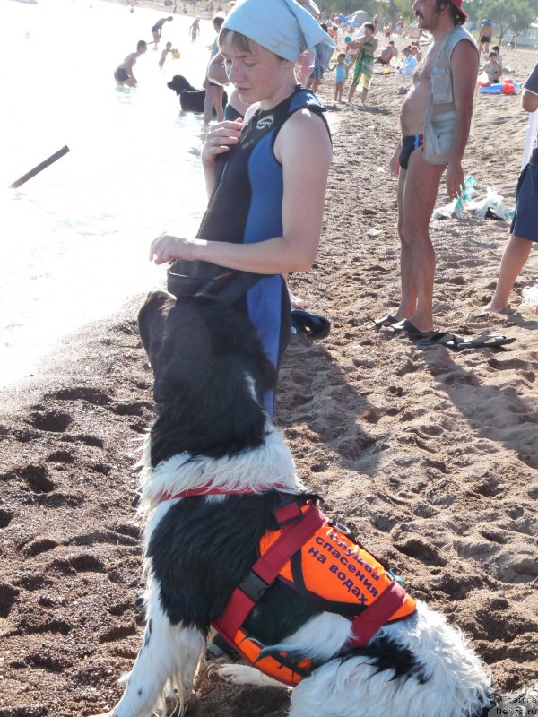 Фотография № 134208