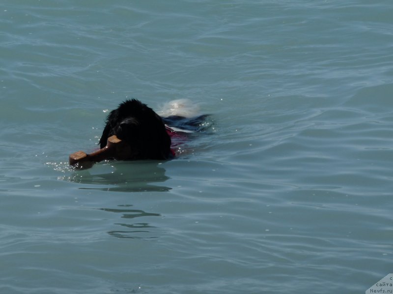 Фотография № 134211