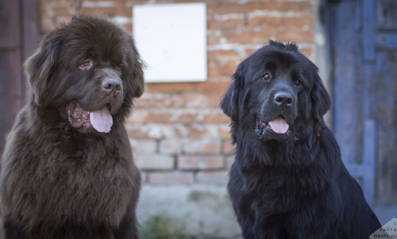 Фотография № 134227