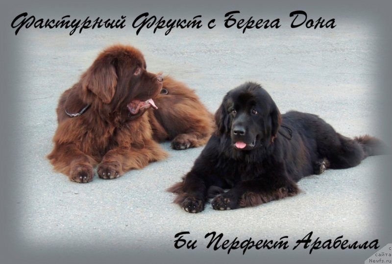 Фотография № 134254