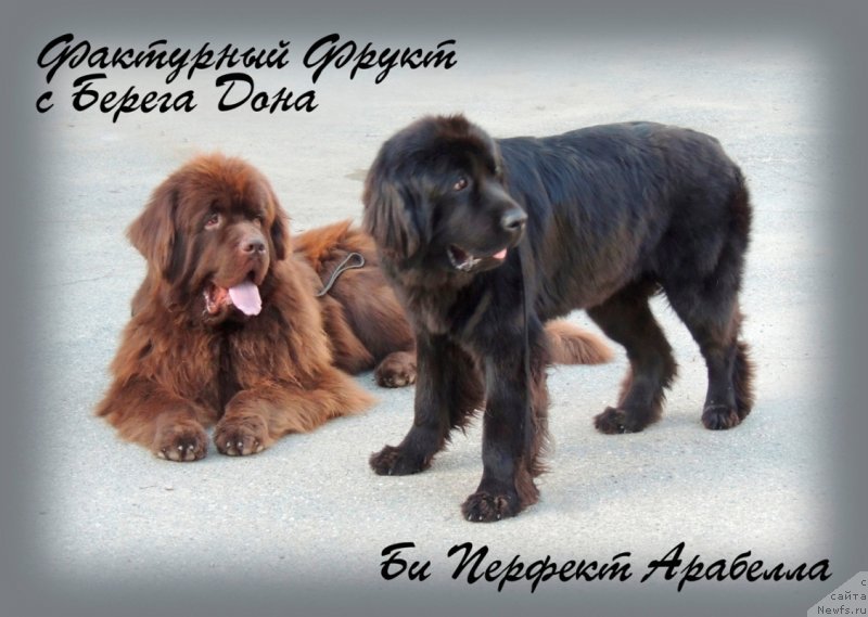 Фотография № 134255