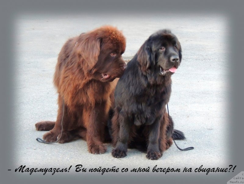 Фотография № 134256