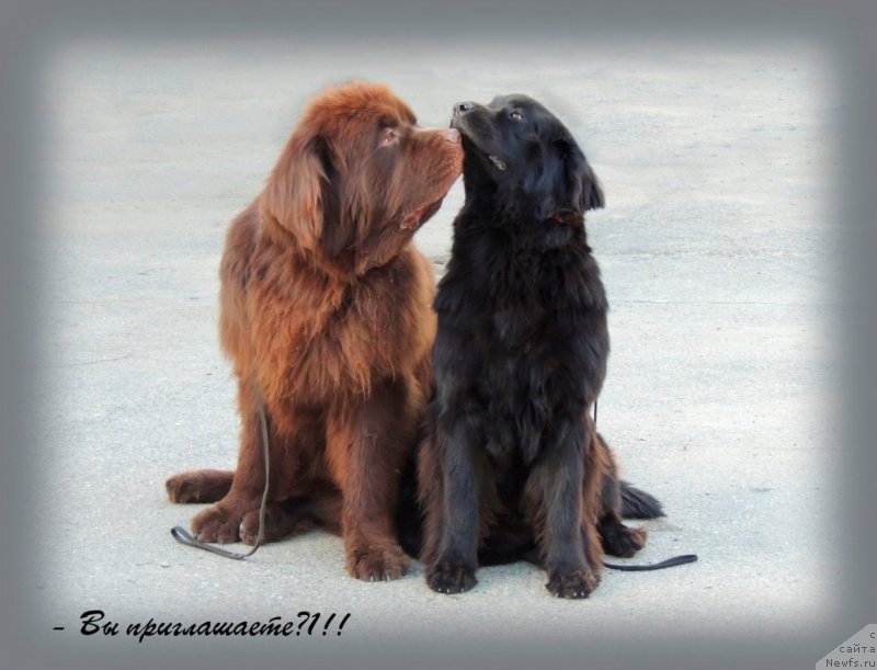 Фотография № 134257