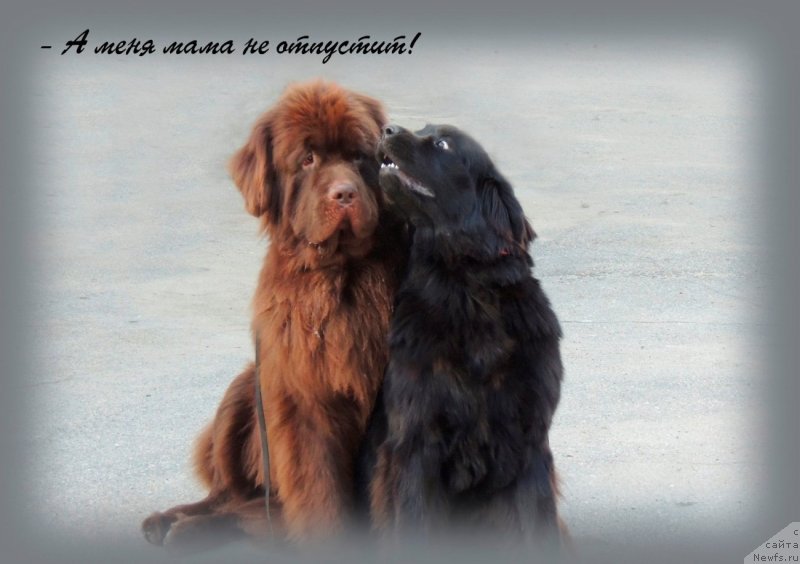 Фотография № 134260