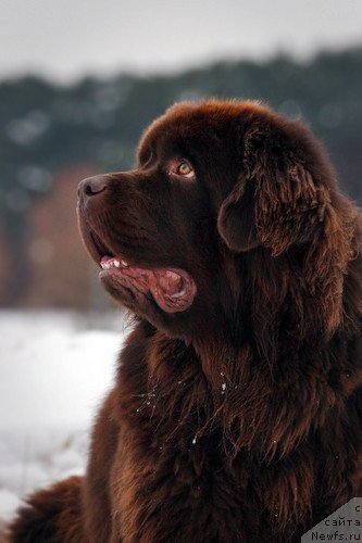 Фотография № 134261