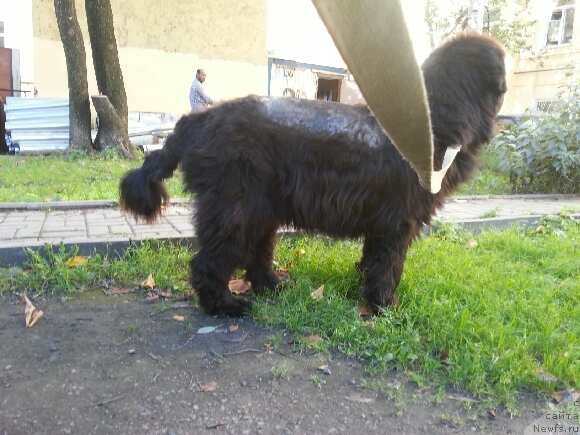 Фотография № 134285