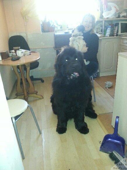 Фотография № 134286