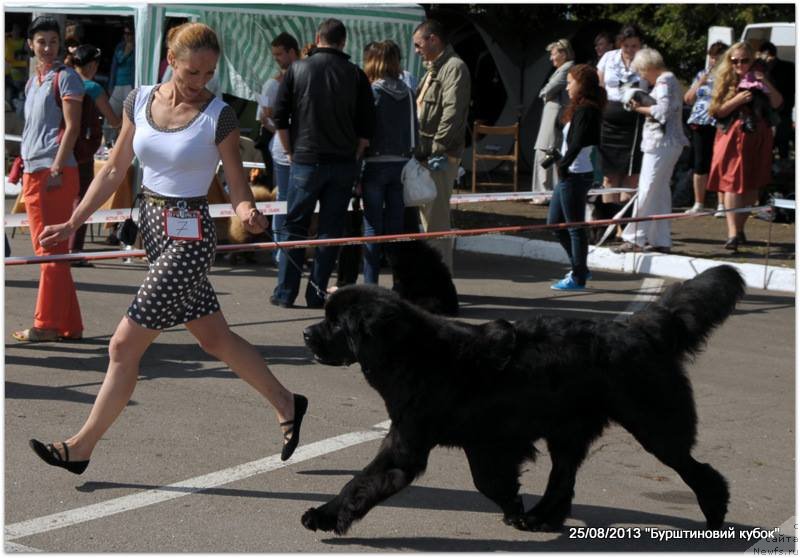 Фотография № 134292