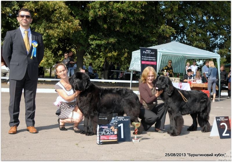 Фотография № 134293