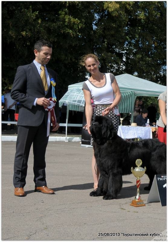 Фотография № 134296