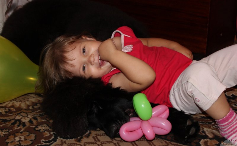 Фотография № 134331