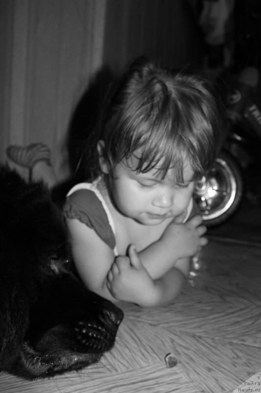 Фотография № 134333