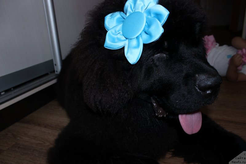 Фотография № 134336