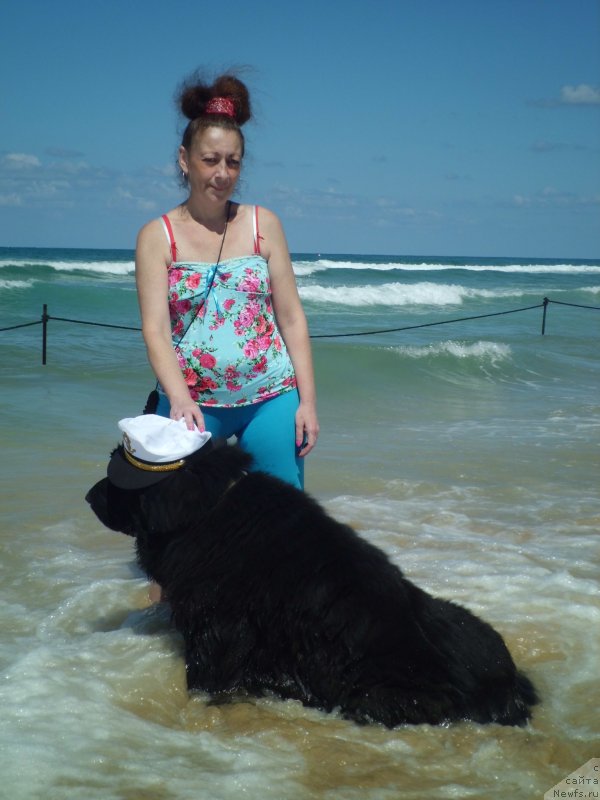 Фото: ньюфаундленд Питерньюф Чао-Какао, Лина Троянская