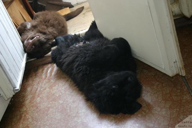 Фото: Золушка и Кайден