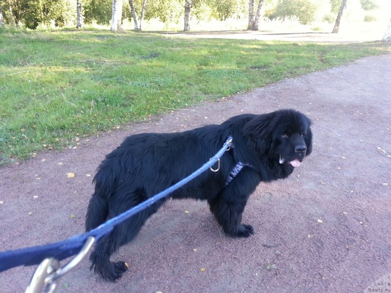 Фотография № 134406