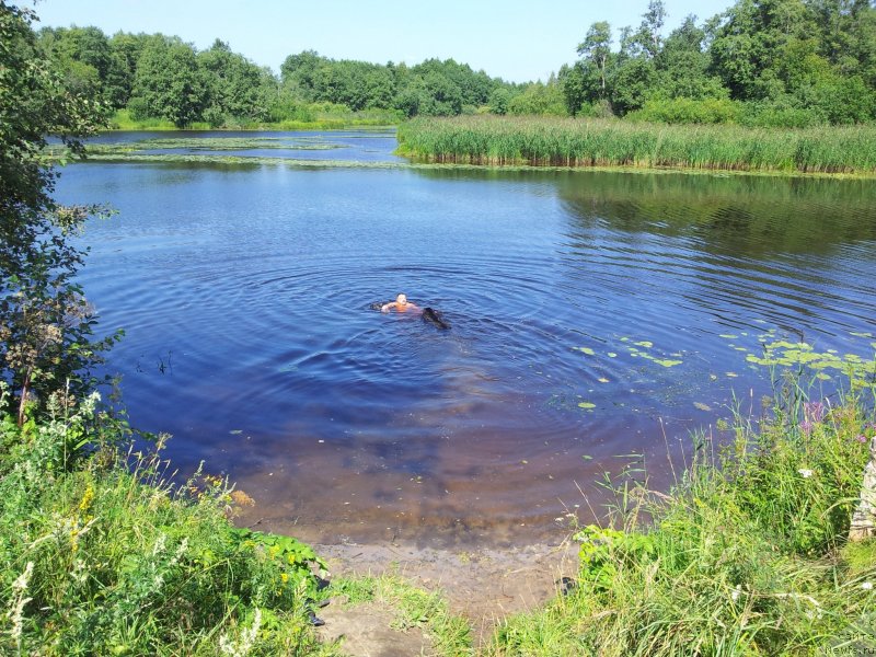 Фотография № 134410