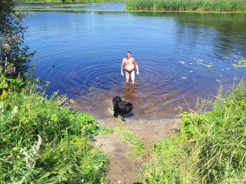 Фотография № 134411