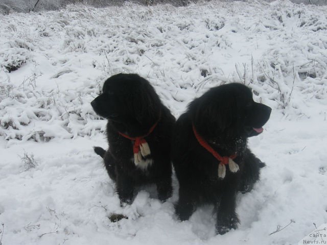 Фото: Линда и Ричард