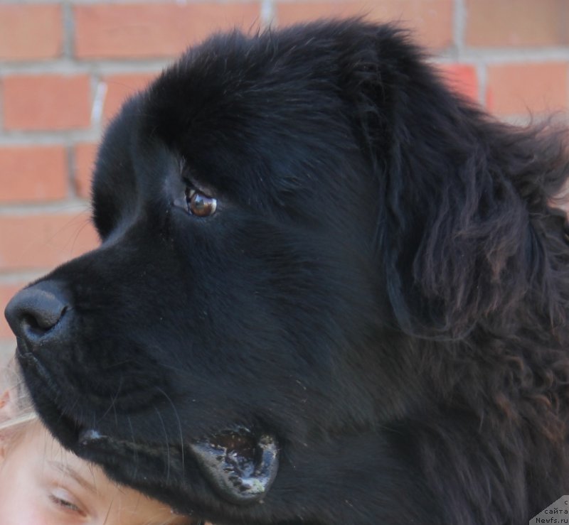 Фотография № 134429