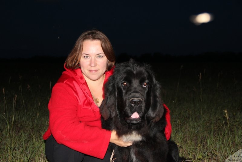 Фото: ньюфаундленд Дак Прайд Вивьен (Dark Pride Vivienne)