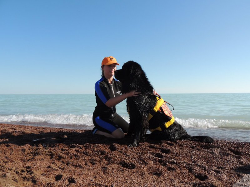 Фотография № 134443