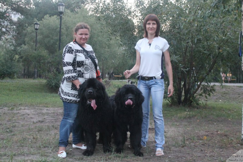 Фото: Людмила Овсянникова, ньюфаундленд Омар Шериф, ньюфаундленд Аквиан Сонг Инсайд Ми Ворд, Анна Масальская