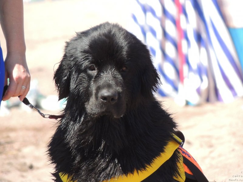 Фотография № 134448