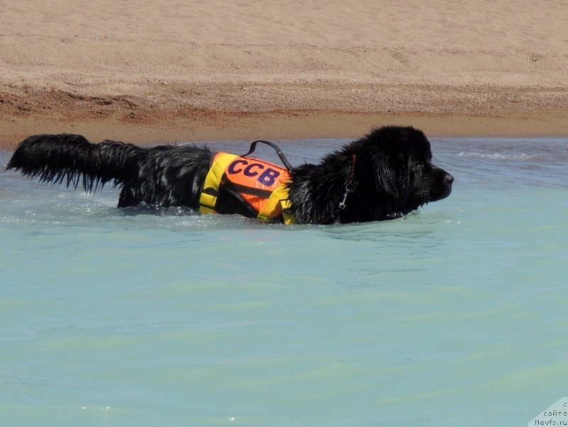 Фотография № 134451