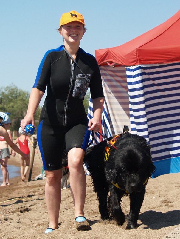 Фото: ньюфаундленд Би Перфект Арабелла, Ирина Павлова