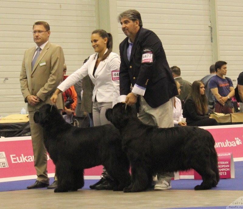 Фотография № 134526