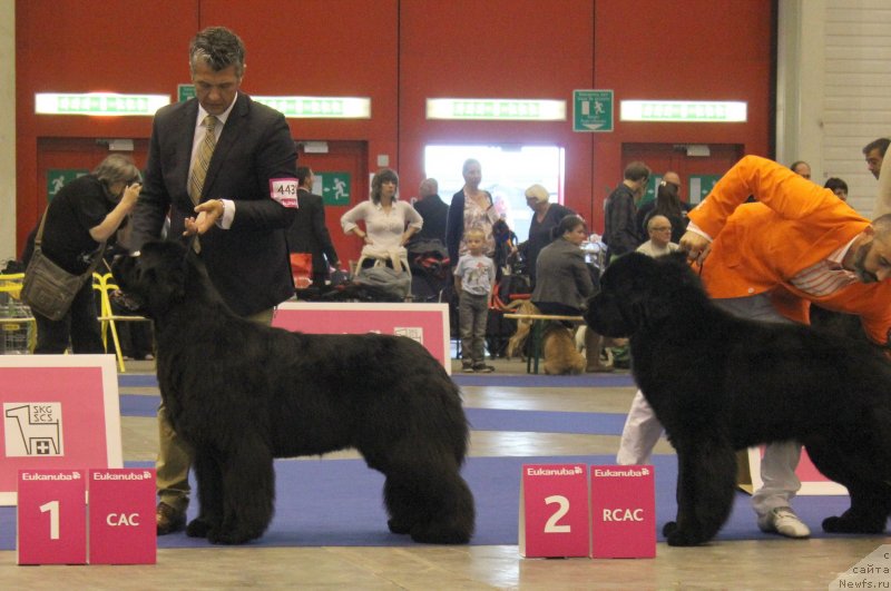 Фотография № 134529