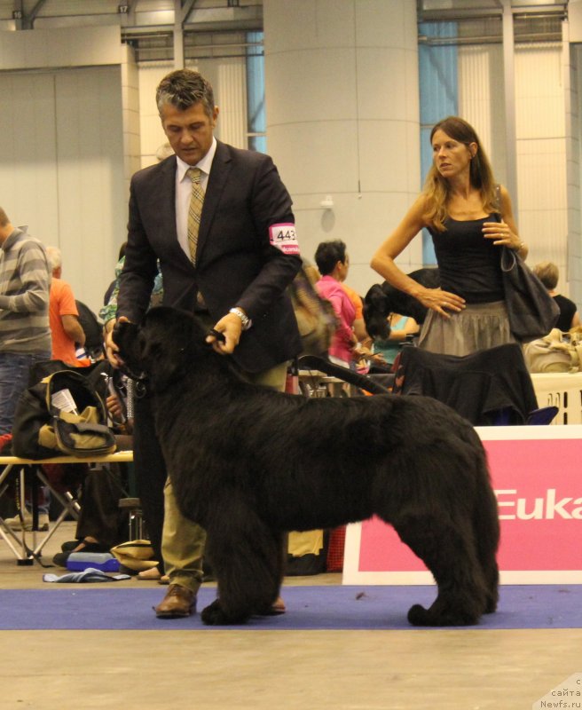 Фотография № 134530