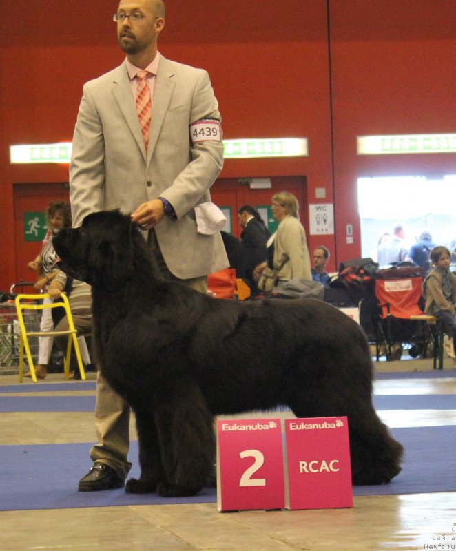 Фотография № 134531