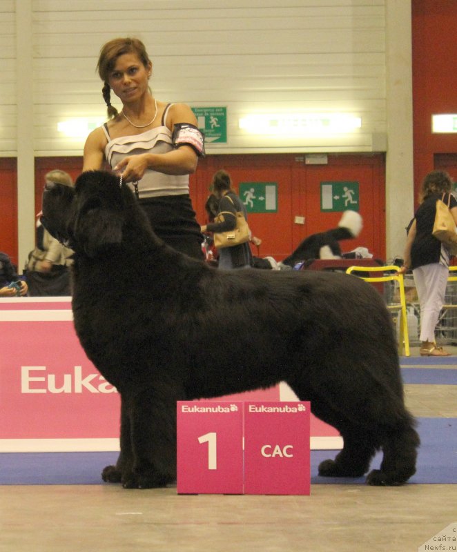 Фотография № 134532