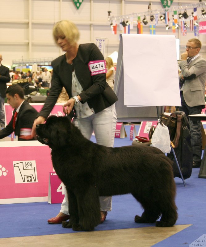 Фотография № 134536