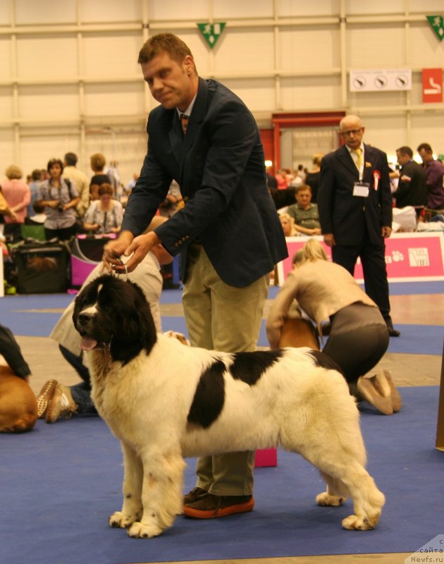 Фотография № 134537