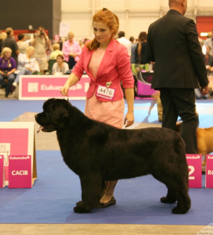 Фотография № 134544