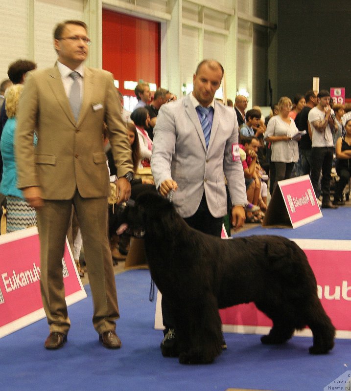 Фотография № 134545