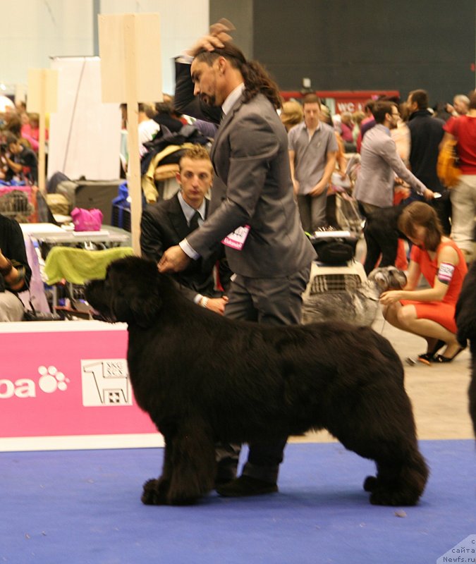 Фотография № 134547