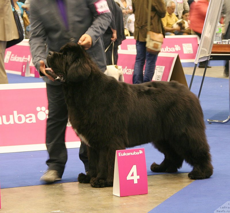 Фотография № 134548